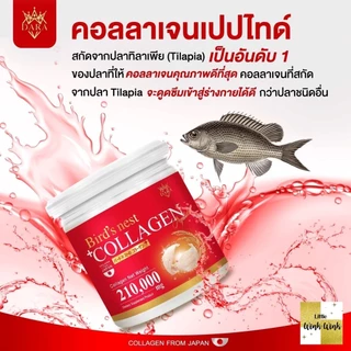 คอลลาเจน 1แถม1 ร้านนี้ยอดขายสูงสุด สูตรผสมรังนกสีทอง แถมวิตามินซี บำรุงผิวและข้อ Dara collagen
