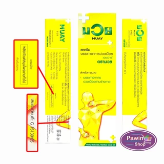 น้ำมันมวย ครีมบรรเทาปวดเมื่อยเอชอาร์ ตรามวย ขนาด 100 กรัม [3 หลอด] DD 1301 MUAY ยาครีม บรรเทาปวด สมุนไพรขายทั่วไป