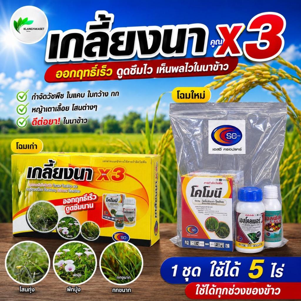 ยาเก็บหญ้า💥 เกลี้ยงนา X3 ข้าวอายุ 15-30 วัน 1 ชุดได้ 4-5ไร่กำจัดหญ้าใบแคบ ใบกว้างชุดนี้เก่ง โสน ไมยร