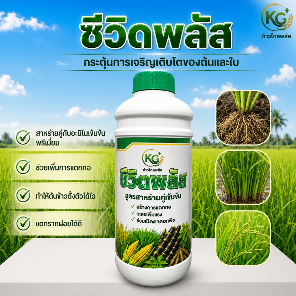 ซีวิดพลัส  สาหร่ายเข้มข้นบวกอะมิโน  สร้างแตกราก แตกกอ เปิดตาดอกบำรุงพืช   (ขนาด1ลิตร)