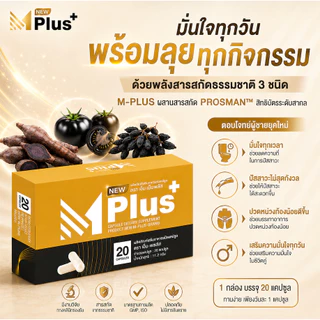[3 แถม 3] NEW Mplus นิว เอ็มพลัส ผลิตภัณฑ์เสริมอาหารท่านชาย 120 แคปซูล