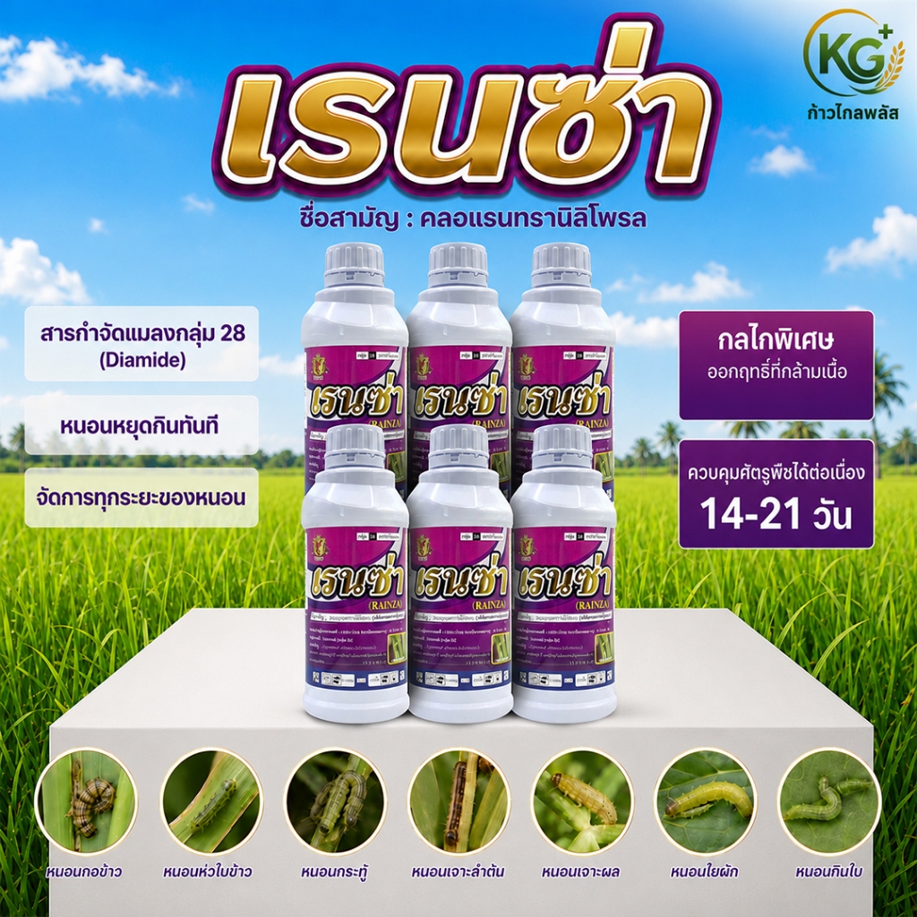 เรนซ่า คลอแรนทรานิลิโพรล5.17%SC สารกำจัดหนอน หนอนกอข้าว หนอนห่อใบ หนอนเจาะ [ขนาด1ลิตร 6/12ขวด]