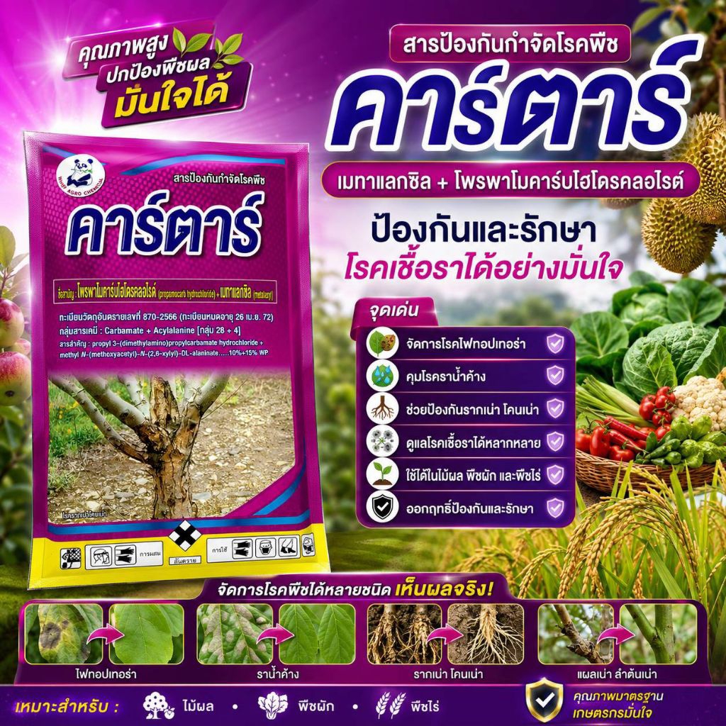 คาร์ตาร์ 1กก. เมทาแลกซิล+โพรพาโมคาร์บไฮโดรคลอไรด์ ได้ทั้งไฟทอปเทอร่า ราน้ำค้าง รากเน่า โคนเน่า