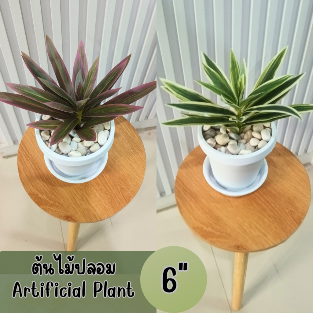ต้นไม้ปลอมประดิษฐ์ใบยาวกระถางขาว 6 นิ้ว Artificial long-leaf plant in a 6-inch white pot.