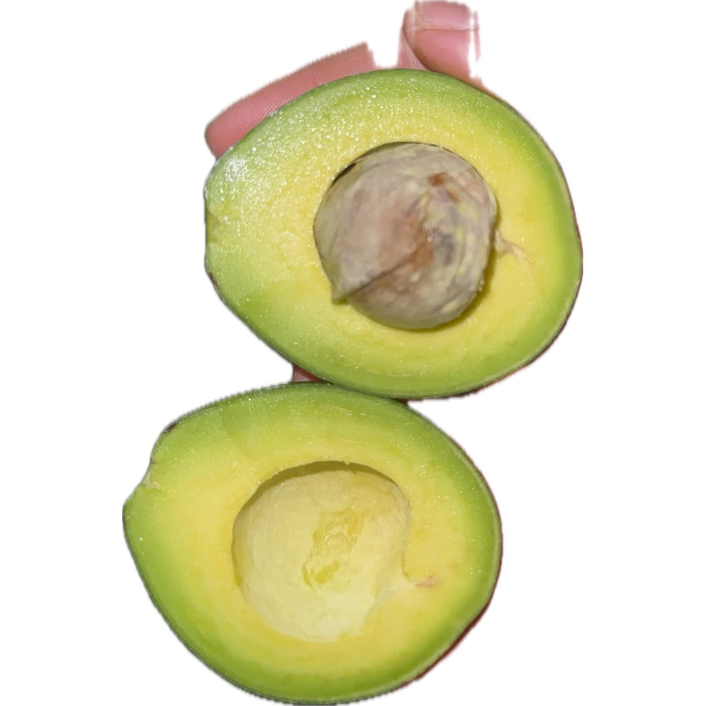 ปีเตอร์สัน 5-7 ลูกโล เนื้อหวาน มันเนย อร่อย (ชั่งน้ำหนักรวมกล่อง)📦🥑🥑