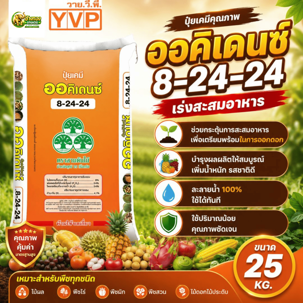 ออคิเดนซ์  8-24-24  ยกกระสอบ 25kg เร่งการสะสมอาหารและกระตุ้นตาดอก บำรุงผลผลิต เพิ่มน้ำหนัก ขนาด 25kg