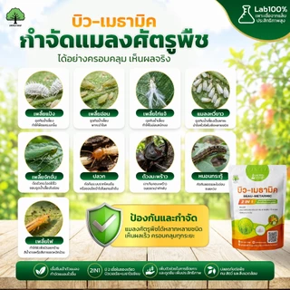 บิว-เมธามิค กำจัดด้วง แมลง เพลี้ย ไร สูตรชีวภาพ คู่ ซุปเปอร์ไตรโค 100g กำจัดเชื้อราโรคพืช ตราเทพมงคล