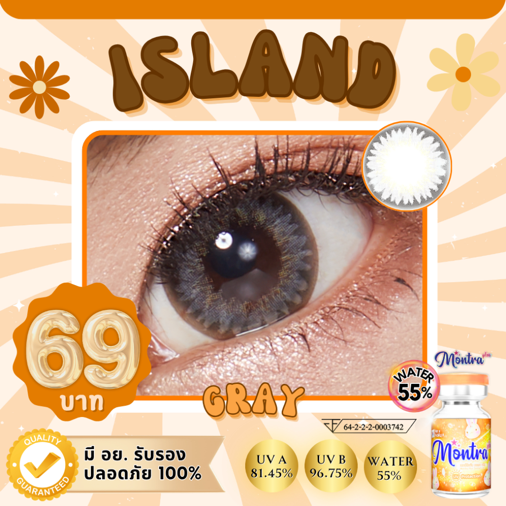 Island คอนแทคเลนส์ ขนาดตาโต ใส่แล้วตาวาวๆนิดๆ สีกำลังน่ารัก หวานกำลังดี