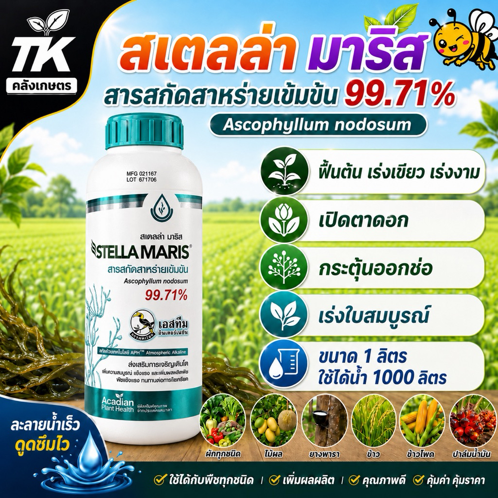 สเตลล่ามารีส สารสาหร่ายเข้มข้น 99.71% (ขนาด 1 ลิตร) เอสทีม สเตลล่ามารีส เร่งเขียว เร่งงาม ฟื้นต้น
