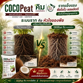 [Organic]CocoPeat ล้างสารเทนนิน ขนาด 100 ลิตร By.คิม เกษตรเงินล้าน