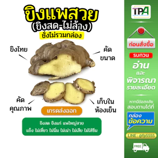 ขิงแพสวย - ขิงสดไม่ล้าง (Fresh Ginger) 1, 2, 3, 4, 5 กก./ KG. เกรดส่งออก เก็บห้องเย็น สินค้าไทย