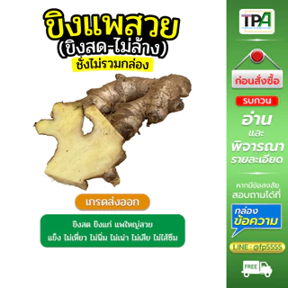 ขิงแพสวย - ขิงสดไม่ล้าง (Fresh Ginger) 1, 2, 3, 4, 5 กก./ KG. เกรดส่งออก เก็บห้องเย็น สินค้าไทย