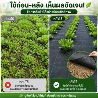 พลาสติกคลุมดิน ผ้าคลุมดินกันหญ้า PE หนาพิเศษ คลุมวัชพืช ระบายน้ำได้ ทนแดด อายุการใช้งาน 7-10 ปี 50M 100M
