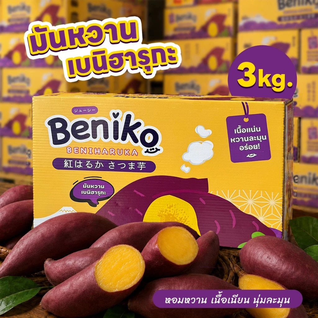 Beniko มันหวานญี่ปุ่น เบนิฮารุกะ ยกลัง 3 กก. (ไม่รวมกล่อง) สายพันธุ์ยอดนิยมจากญี่ปุ่น