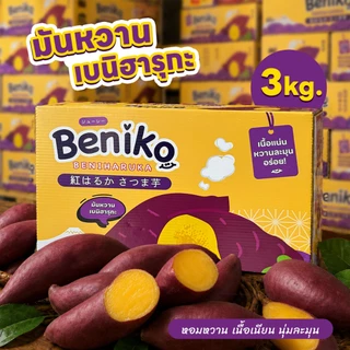 Beniko มันหวานญี่ปุ่น เบนิฮารุกะ ยกลัง 3 กก. (ไม่รวมกล่อง) สายพันธุ์ยอดนิยมจากญี่ปุ่น