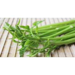 เมล็ดพันธุ์ผักบุ้งแก้ว 50 เมล็ดราคา 6 บาทซื้อ2แถม1