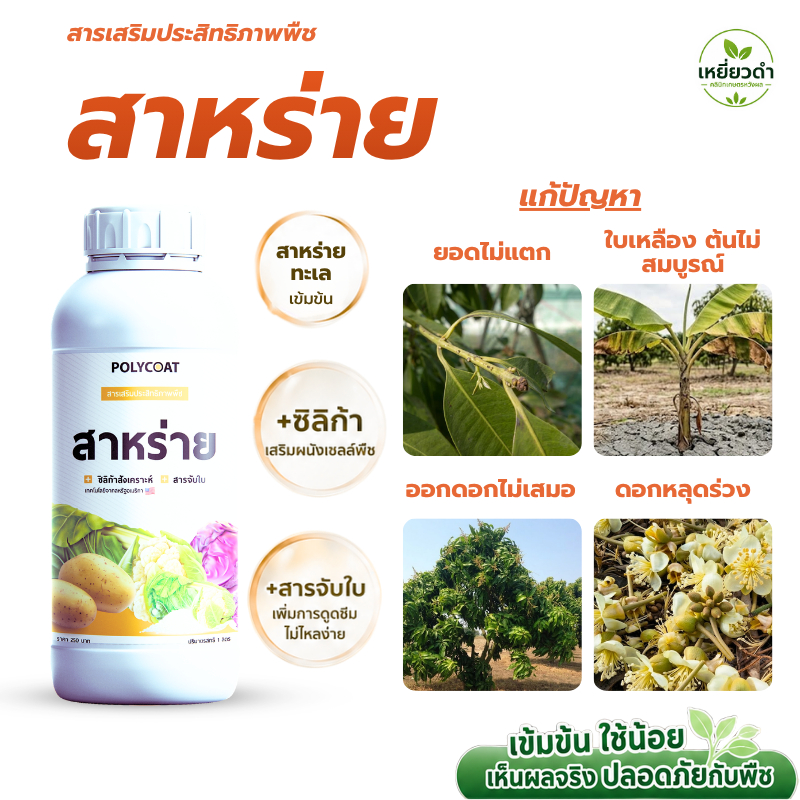Polycoat สาหร่ายน้ำเข้มข้น 3เท่า+ซิลิก้าพืช+สารจับใบ 1L ในขวดเดียว เสริมพลังทำดอก ทำผลดก