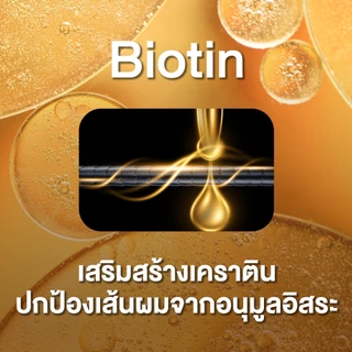 NUCERA H [นูเซร่า เอช] วิตามินลดผมร่วง กู้ผมสวย เพิ่มผมหนา และเร่งสร้างผมใหม่ลึกถึงรากผม
