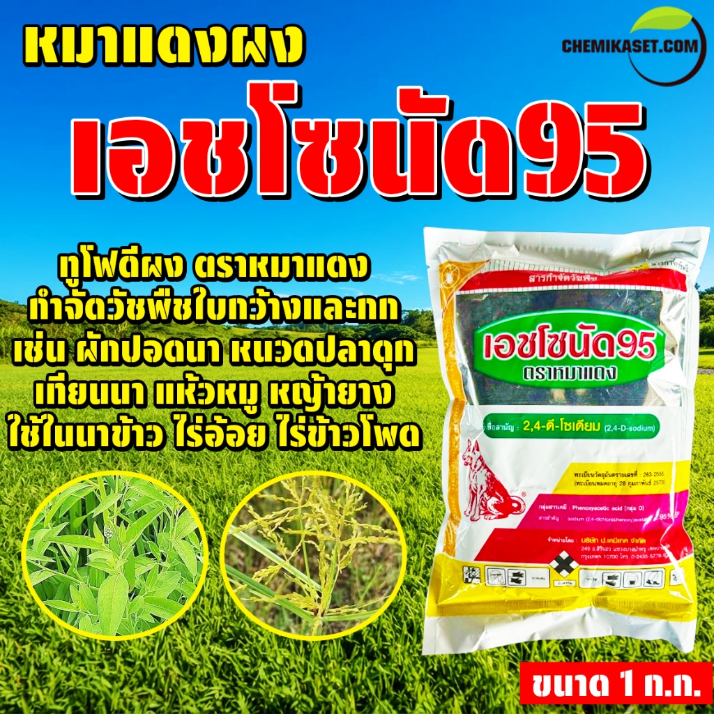 หมาแดงผง ขนาด 1 ก.ก. เอชโซนัด95 ยากำจัดหญ้าใบกว้าง ตราหมาแดง (2,4 ดี โซเดียมซอลท์)