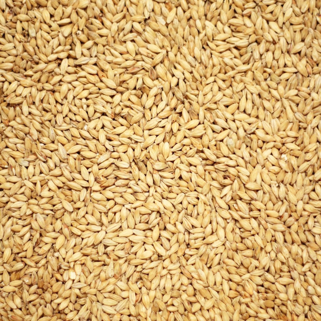 มอลต์ Munich Light Malt - Chateau Malt ทำเบียร์