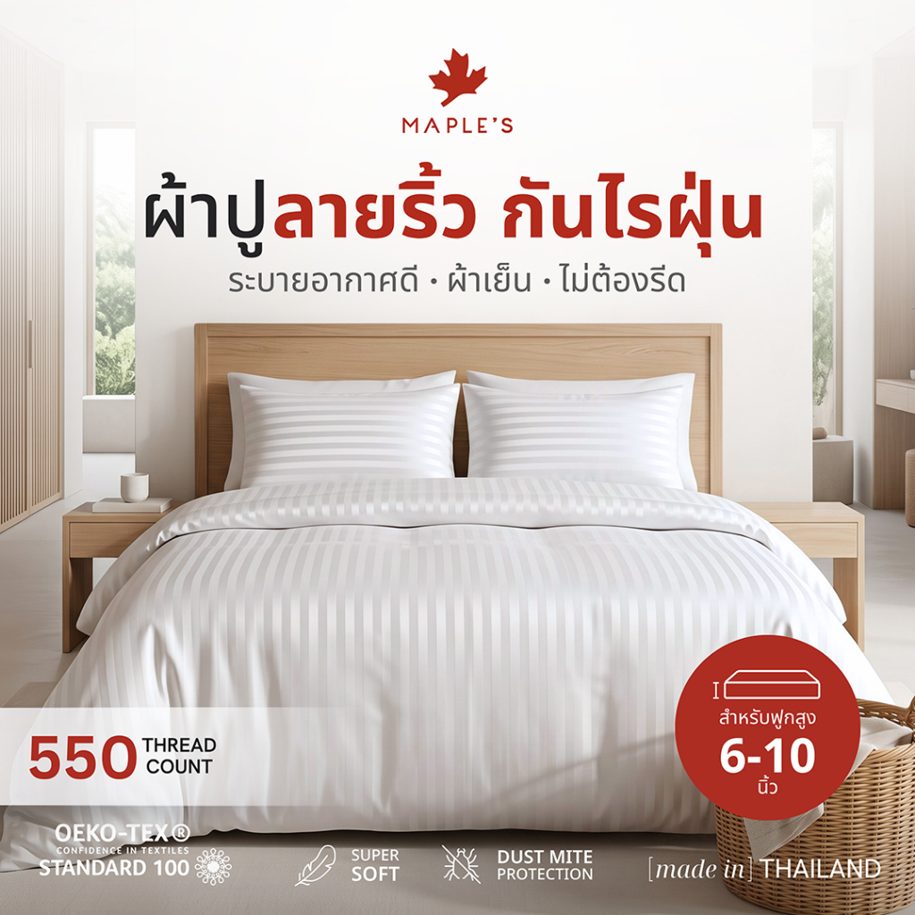 MAPLE'S ผ้าปูรัดมุม รุ่นลายริ้ว 550เส้น กันไรฝุ่น 6-10นิ้ว 3.5ฟุต-6ฟุต striped bedsheet