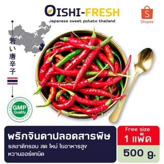 🛒Oishi-Fresh🌶️พริกจินดาแดง ปลอดสารพิษ รสชาติ กรอบ สด ใหม่ ใยอาหารสูง หวานออร์แกนิค จัดส่ง 24 ชม.