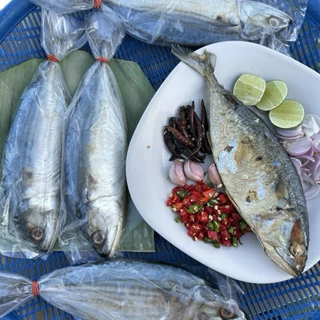 ปลาทูมันหอมเค็มน้อย 3-4ตัวโล มีไซร้ใหญ่ๆ เลือกไซร้ได้ เนื้อเเน่นทำสดใหม่ ไม่ตุไม่เละ ทำใหม่ทุกวัน เค็มน้อยดองเกลือ1คืน
