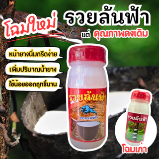 ยาทาหน้ายาง รวยล้นฟ้า สูตร 3 พลัง หน้ายางกรีดง่าย หน้ายางไม่เกิดรา น้ำยางออกเต็มหน้า ใช้น้อยออกฤทธิ์ยาวนาน