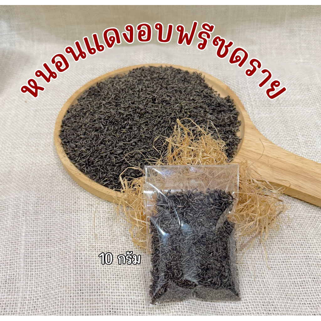 หนอนแดงอบฟรีซดราย 10 กรัม อาหารสำหรับปลาทุกชนิด