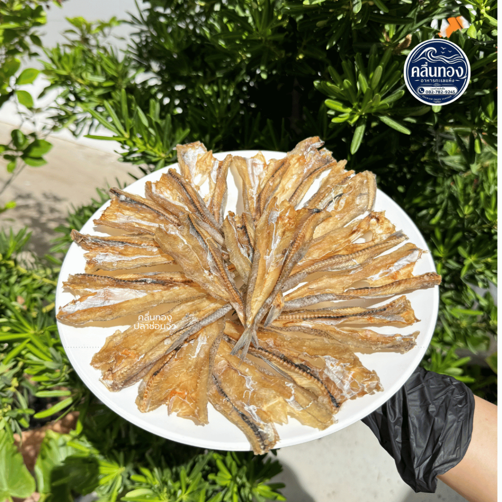 คลื่นทอง - ปลาช่อนทะเล100 - 150 กรัม (ไซส์จิ๋ว) ปลาไล้กอ ปลาจิ๊กโก๋ อร่อย ไม่เค็ม กินได้ทั้งตัว กรอบๆ อาหารทะเลแห้ง