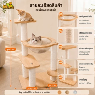 ต้นไม้แมวโมดูลอวกาศขนาดใหญ่ บูรณาการรังแมว แพลตฟอร์มกระโดด อุปกรณ์แมวครบชุด สุดหรู