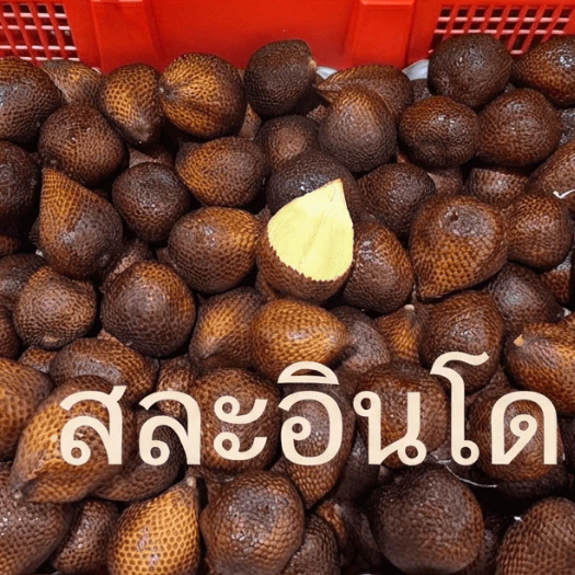 สละอินโดแท้ สดใหม่ เนื้อกรอบ หวานอมเปรี้ยว ลูกใหญ่กำลังดี
