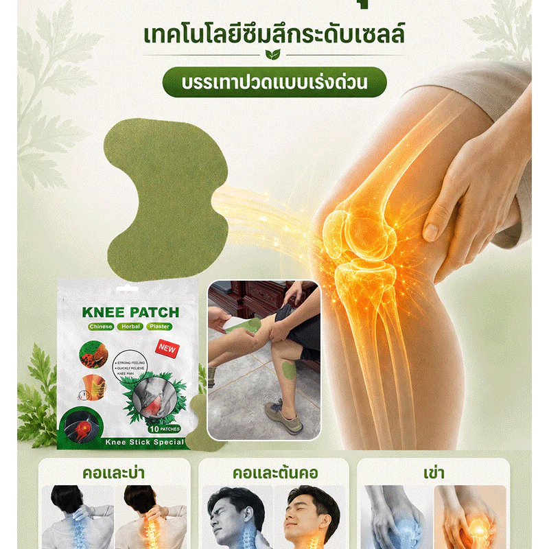 แผ่นแปะเข่า KneePatch จากสารสกัดจากต้นมักวอร์ต: สารสกัดจากพืชธรรมชาติบริสุทธิ์ ช่วยบรรเทาอาการปวดหลังส่วนล่าง