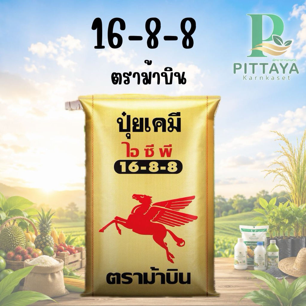 (ยกกระสอบ 50 กิโล) ปุ๋ย สูตร 16-8-8 ตรา ม้าบิน รองพื้น เร่งต้น แตกกอ ต้นโตไว ใส่ได้ทุกพืช