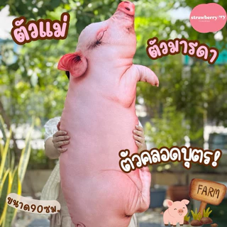 หมอนข้างหมู ตุ๊กตาหมู หมอนหมู หมอนข้างหมูตัวใหญ่ 90ซม