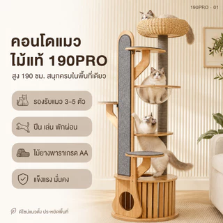 [FurryJoyคอนโดแมวไม้ยางพารา190cmหลุมอวกาศใหญ่พิเศษ ตะกร้าหวาย ที่ลับเล็บแมว แข็งแรง มั่นคงไม่ล้มง่าย