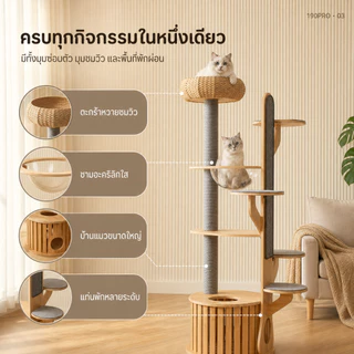 [FurryJoyคอนโดแมวไม้ยางพารา190cmหลุมอวกาศใหญ่พิเศษ ตะกร้าหวาย ที่ลับเล็บแมว แข็งแรง มั่นคงไม่ล้มง่าย