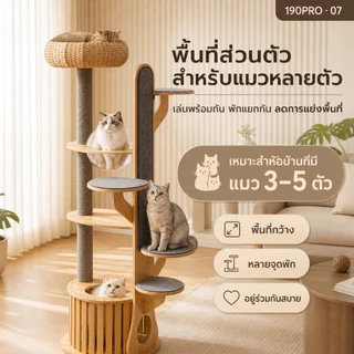 [FurryJoyคอนโดแมวไม้ยางพารา190cmหลุมอวกาศใหญ่พิเศษ ตะกร้าหวาย ที่ลับเล็บแมว แข็งแรง มั่นคงไม่ล้มง่าย