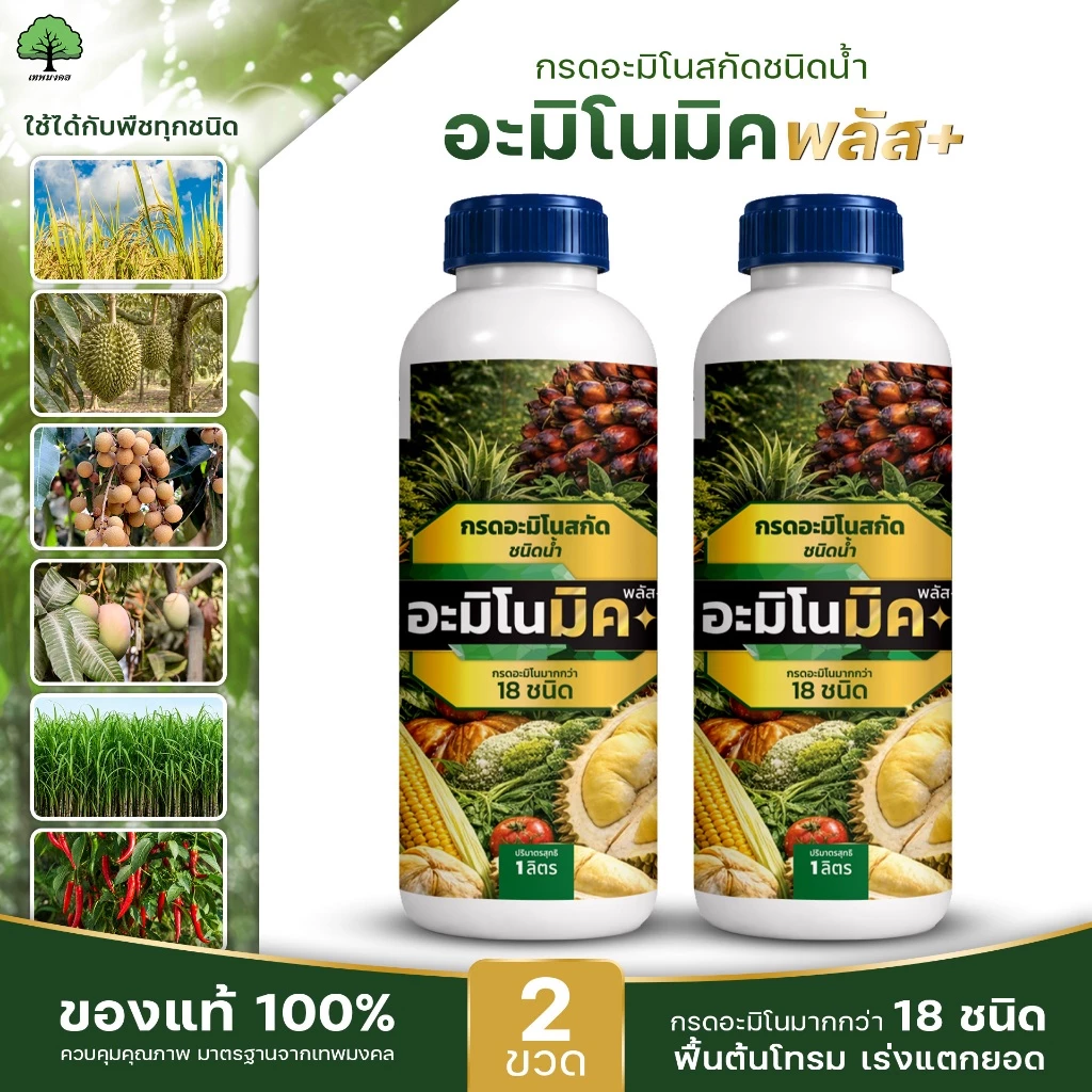 อะมิโนมิคพลัสตราเทพมงคล ขวด 1L แพ็ค 2 ขวด อาหารเสริมพืชทางใบชนิดน้ำ เร่งบำรุงพืชทุกชนิด สูตรออแกนิก