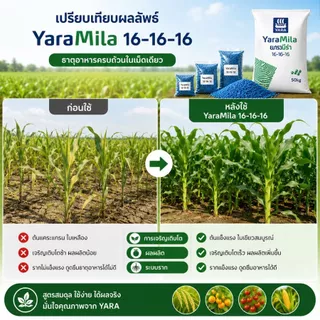 ปุ๋ย Yara 16 - 16 - 16 ช่วยเร่งการเจริญเติบโตของพืช บรรจุแยกตั้งแต่ 100 กรัม ถึง 1 กิโลกรัม