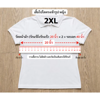 Ananya เสื้อโปโล สำนักงานอัยการสูงสุด งานปักอกซ้ายจุดเดียว ❌ไม่มีกระเป๋า ชาย/หญิง อก34-52นิ้ว