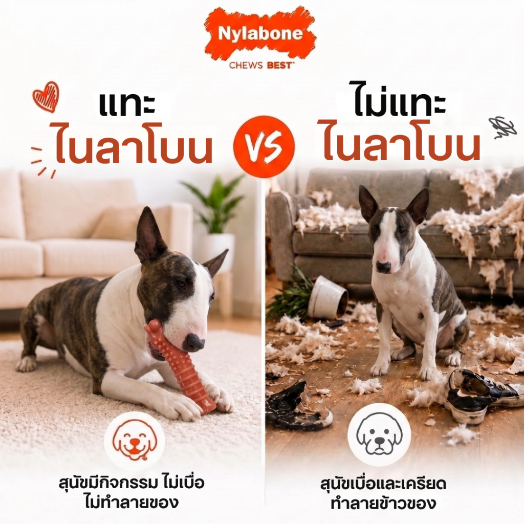 Nylabone عظمة مضغ Power Chew ‏Textured Knuckle — صنع في أمريكا — صورة 5