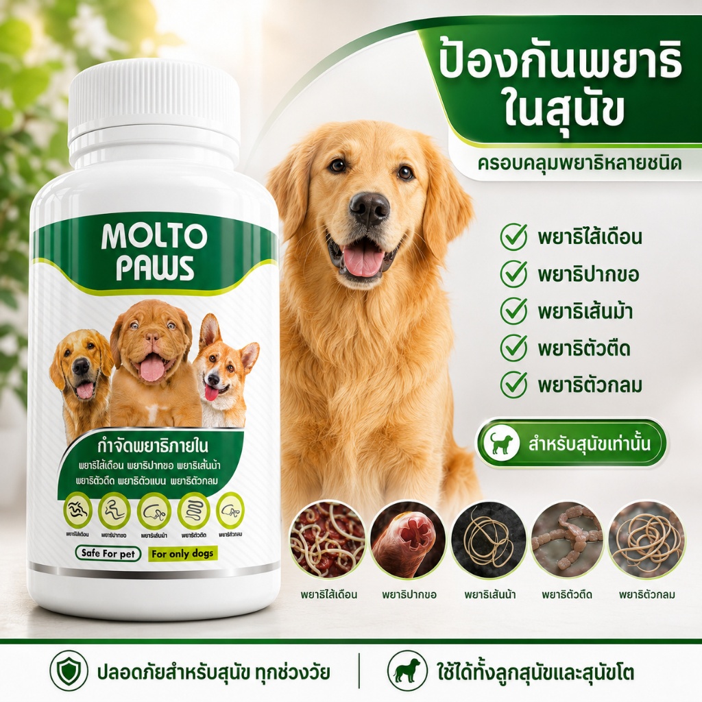 MOLTO PAWS ถ่ายพยาธิสุนัข 10 ชนิด สำหรับสุนัข ทุกสายพันธุ์ กลับมาแข็งแรง ดูแลภายใน กินง่าย ปลอดภัย