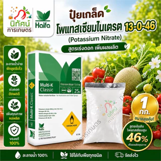 โพแทสเซียมไนเตรต 13-0-46 ตราไฮฟา เปิดตราดอก เพิ่มน้ำหนักขยายผล เพิ่มความหวานและสีสัน ปริมาณ 1 กิโลกรัม