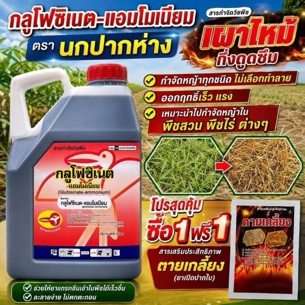 (โปร1แถม1)กลูโฟซิเนต(นกปากห่าง)(ฝาแดง)ขนาด 4 ลิตร เผาไหม้พิเศษ กำจัดทั้งใบแคบ ใบกว้าง หญ้าปากควาย ขนาด 4 ลิตร