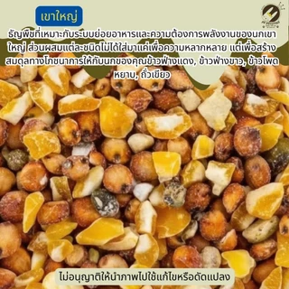 ธัญพืช Seed นกเขาใหญ่ (เขาใหญ่) สำหรับ นกทุกสายพันธุ์ หนูแฮมเตอร์ กระรอก และสัตว์ฟันเทะ (แบ่งขาย1กิโลกรัม)
