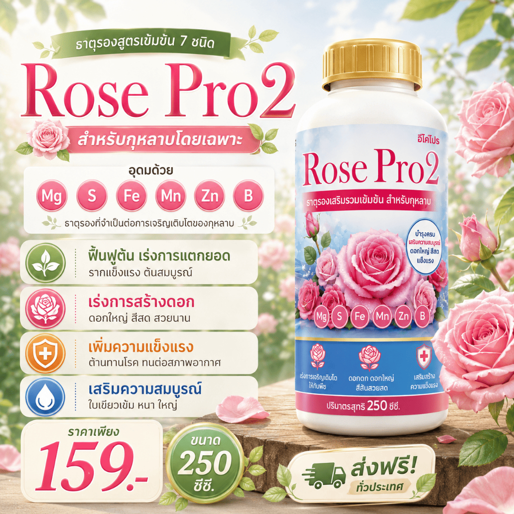 Rose Pro2 ธาตุรองเสริมรวม7ชนิด สูตรเข้มข้น สำหรับกุหลาบโดยเฉพาะ ช่วยบำรุงต้น ใบเขียวเข้ม แข็งแรง ดอกใหญ่ สีสวย 250ซีซี