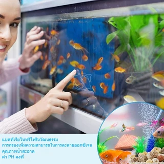 เซรามิคกรองน้ำ 0.5/1kg หินกรอง ตู้ปลา เซรามิคริงค์ พร้อมถุงซิป มีหลายรูปทรงให้เลือก 500กรัม mini ลูกเต๋า ดอกไม้ 5D