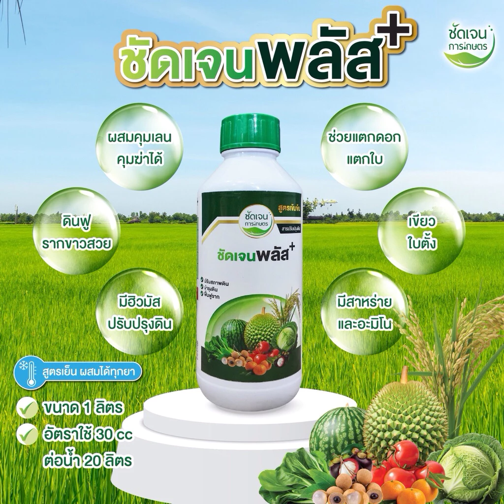 ชัดเจนพลัส ฮิวมิกฟูวิคมีสาหร่ายอะมิโน ใช้ได้ทุกพืชเกษตรกรมั่นใจ ข้าวเขียว แตกรากแตกกอได้ดี ทนทุกสภาพอากาศ