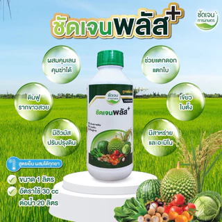 ชัดเจนพลัส ฮิวมิกฟูวิคมีสาหร่ายอะมิโน ใช้ได้ทุกพืชเกษตรกรมั่นใจ ข้าวเขียว แตกรากแตกกอได้ดี ทนทุกสภาพอากาศ